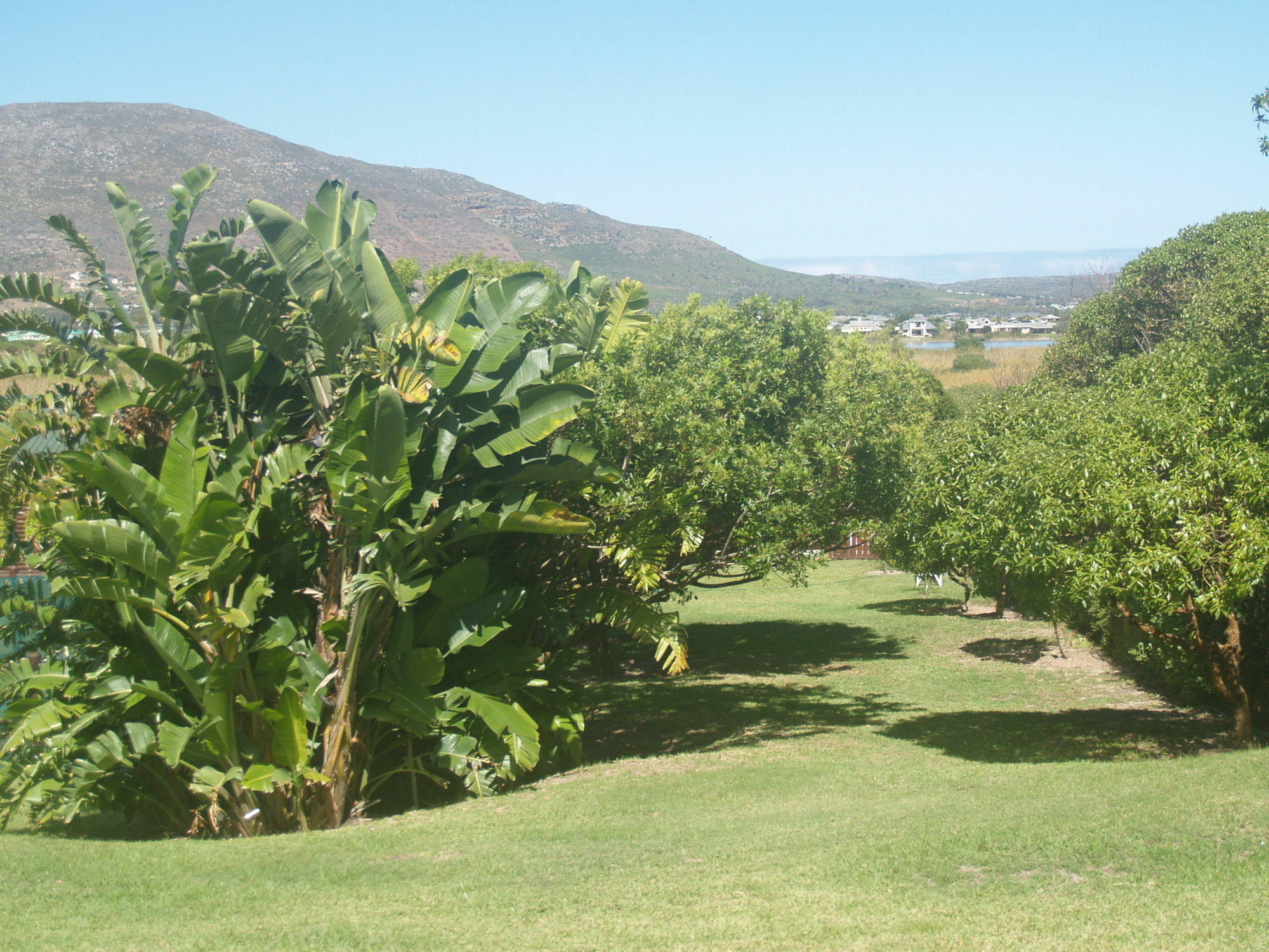 Horizon Cottages Noordhoek Bagian luar foto
